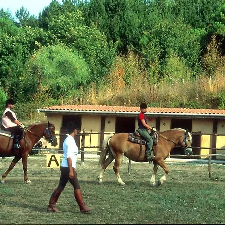 Antico Colle Toscano Arcidosso